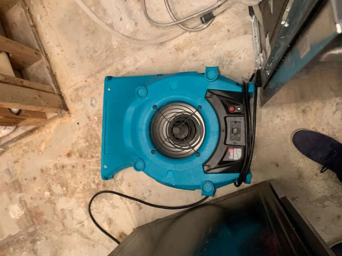 Air mover drying equipment for Mold Remediation & Removal in Columbiana